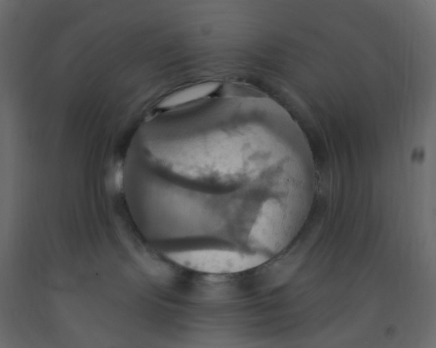 X0000092110095200710101152