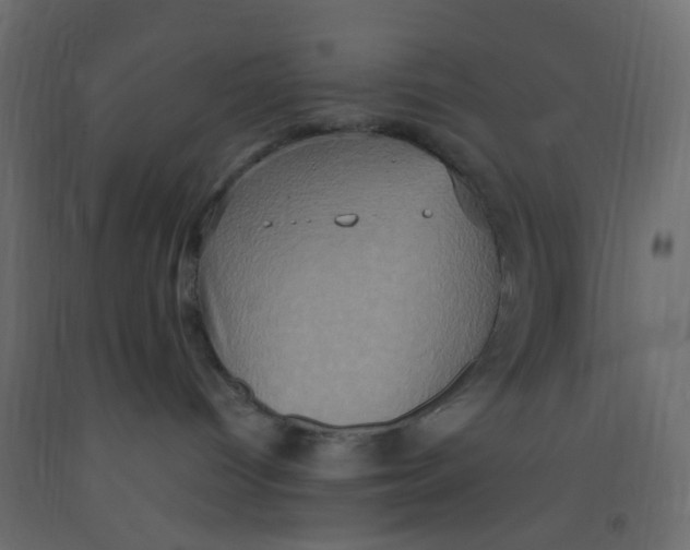 X0000092110096200710101152