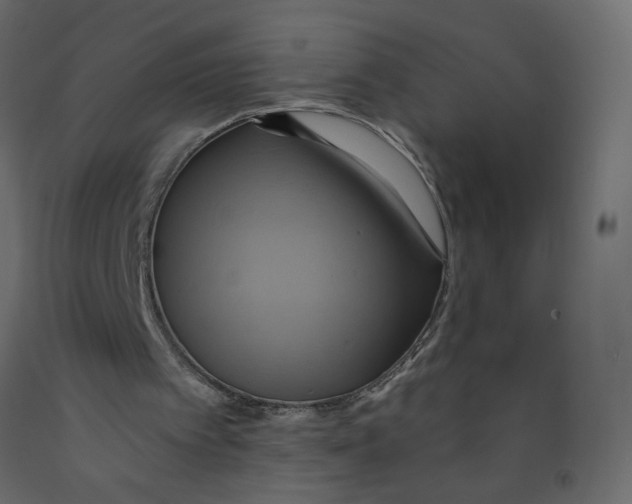 X0000092110097200710101151