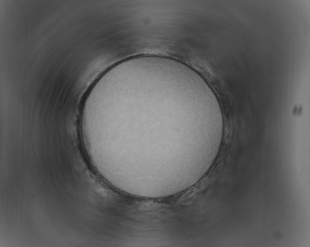 X0000092110098200710101151