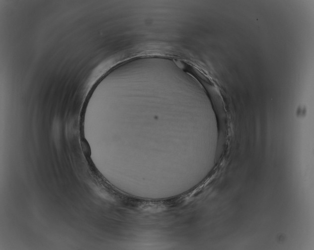 X0000092110099200710101151