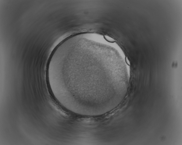 X0000092110100200710101151