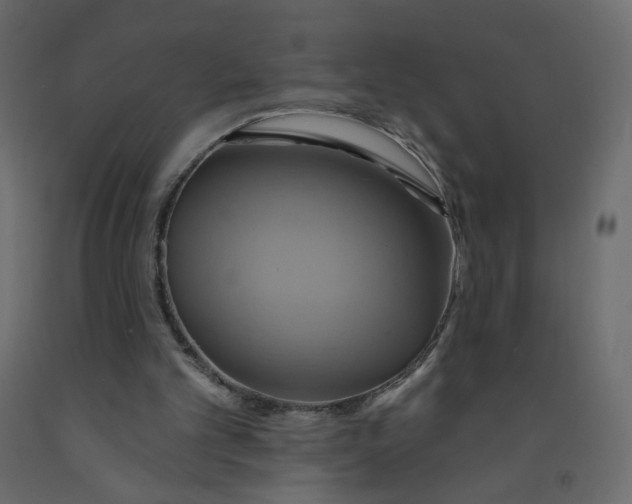X0000092110101200710101151