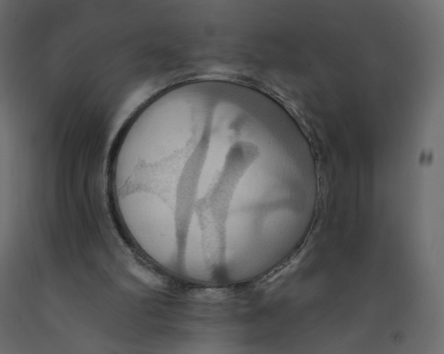 X0000092110102200710101151
