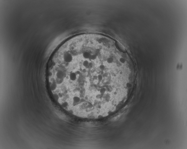 X0000092110103200710101151