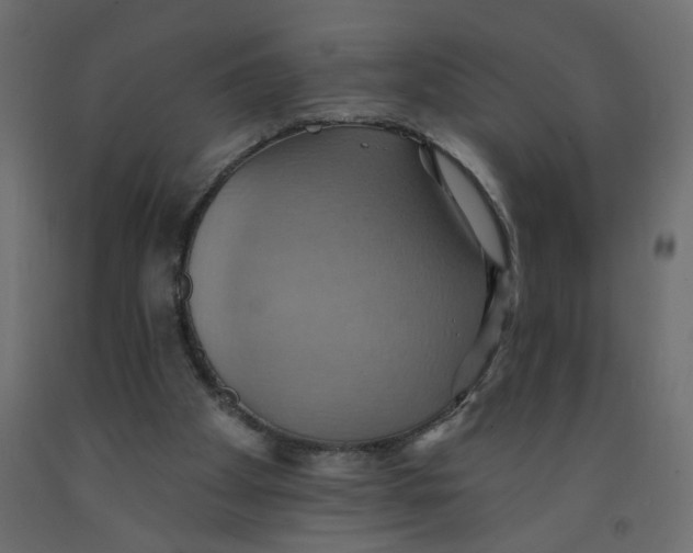 X0000092110105200710101151