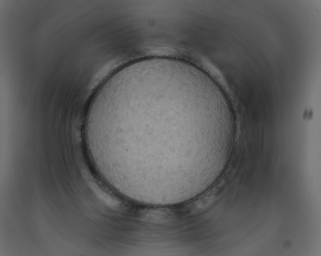 X0000092110106200710101151