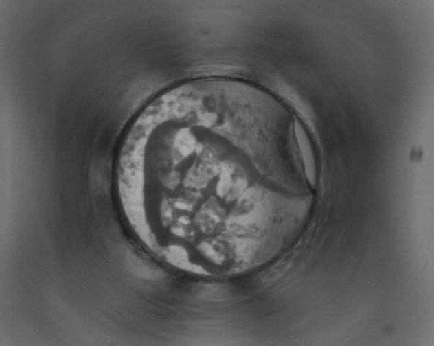 X0000092110107200710101151
