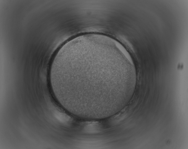 X0000092110108200710101151