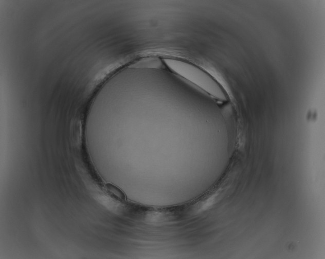X0000092110109200710101151