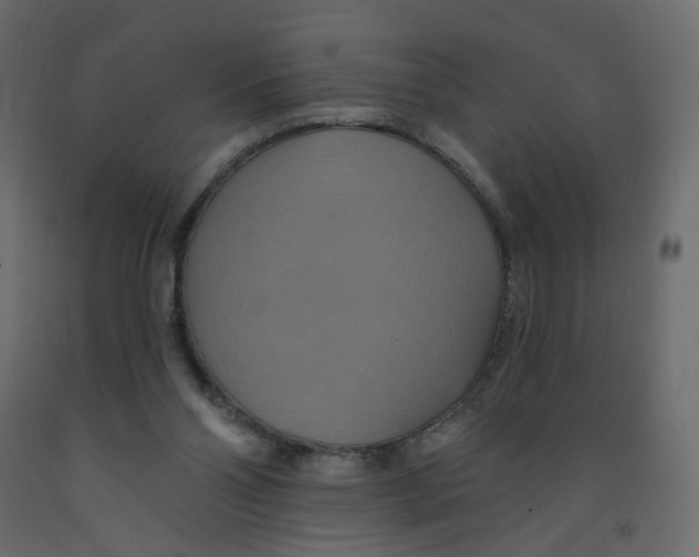 X0000092110110200710101151