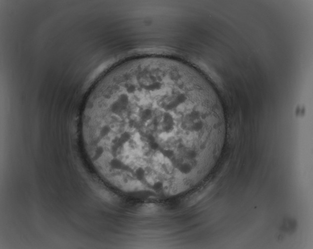 X0000092110111200710101151