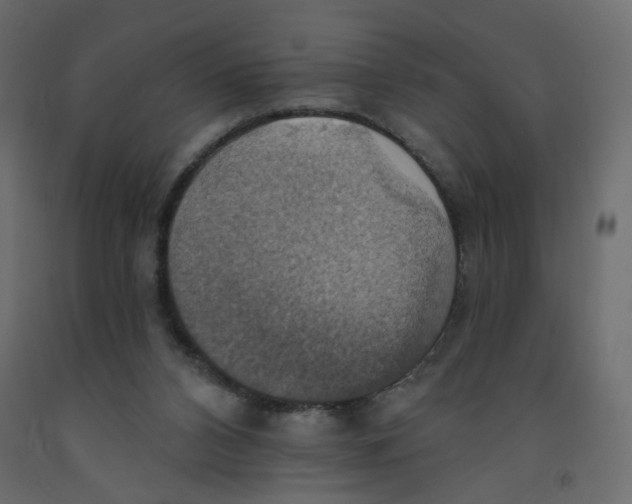 X0000092110112200710101151