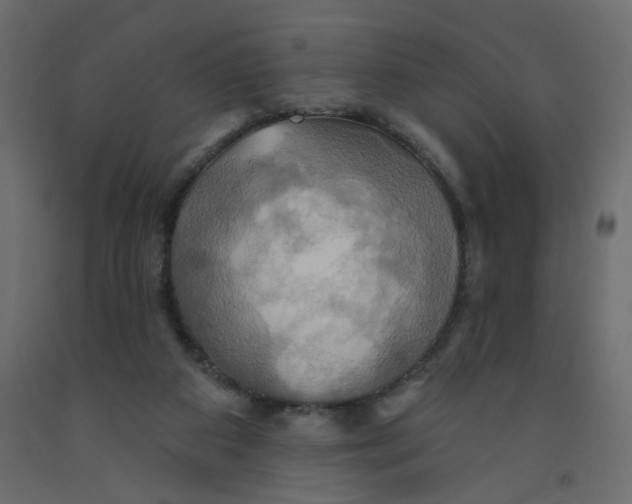 X0000092110113200710101151