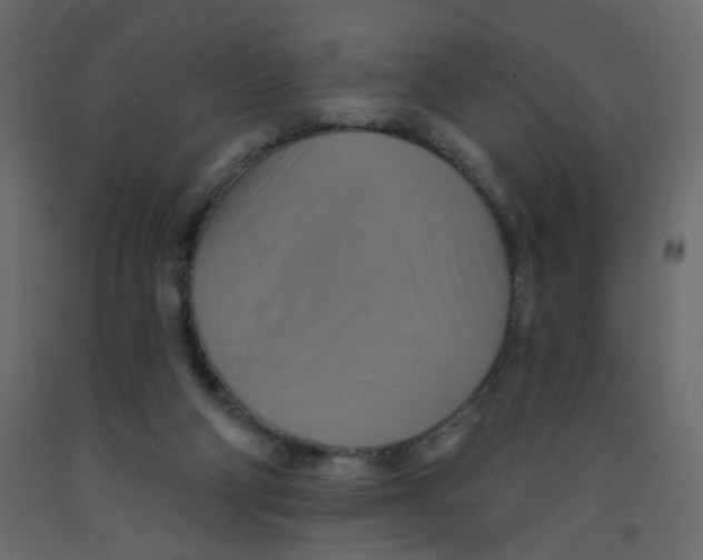 X0000092110114200710101151