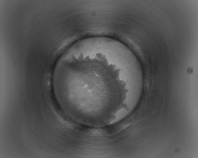 X0000092110115200710101151