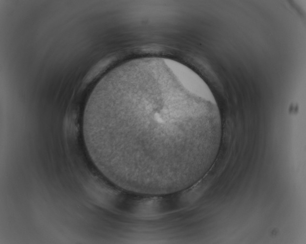 X0000092110116200710101151