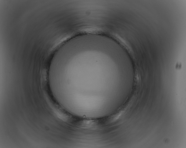 X0000092110117200710101151