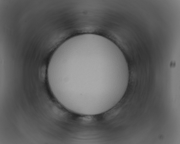 X0000092110118200710101151