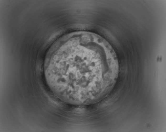 X0000092110119200710101151