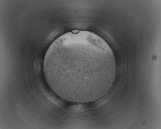 X0000092110120200710101151