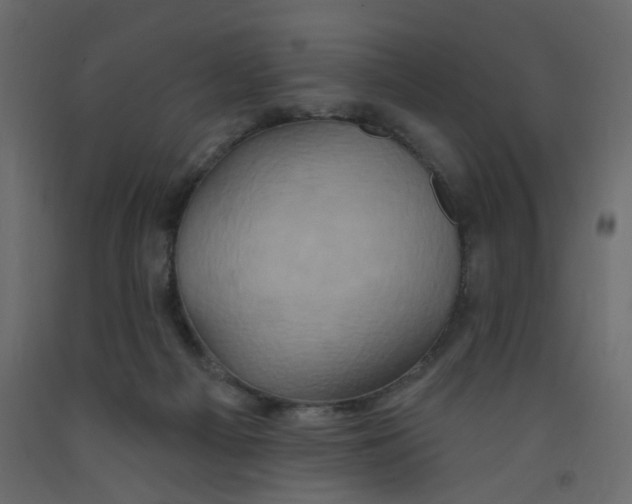 X0000092110121200710101151