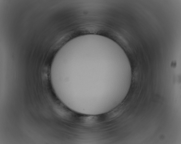 X0000092110122200710101151