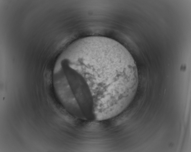 X0000092110123200710101151