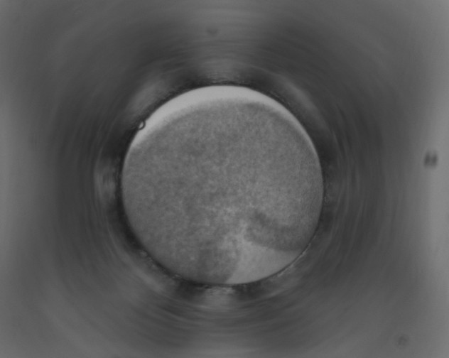 X0000092110124200710101151