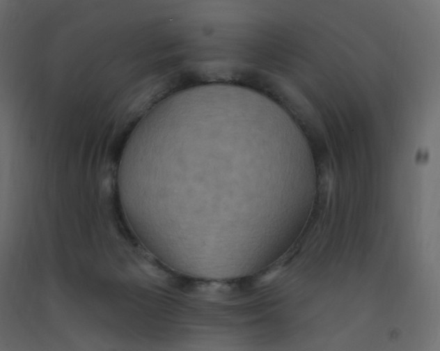 X0000092110125200710101151