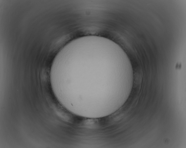 X0000092110126200710101151