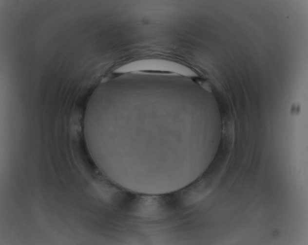 X0000092110127200710101151