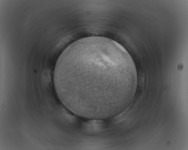 X0000092110128200710101151