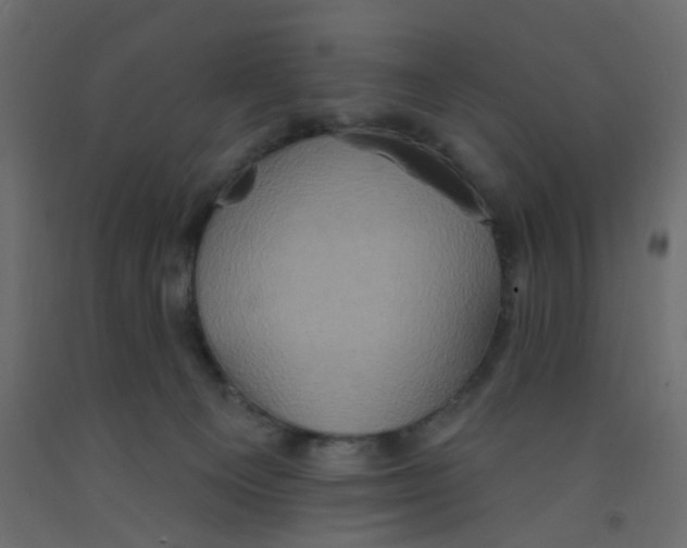 X0000092110129200710101151