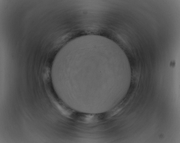 X0000092110130200710101151