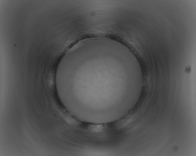 X0000092110131200710101151