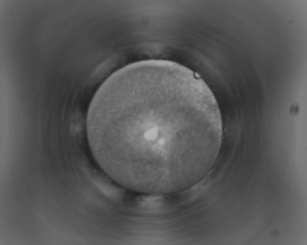 X0000092110132200710101151