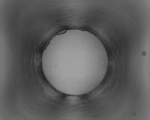 X0000092110133200710101151