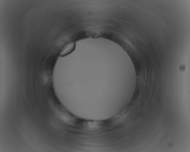 X0000092110134200710101151
