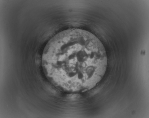 X0000092110135200710101151