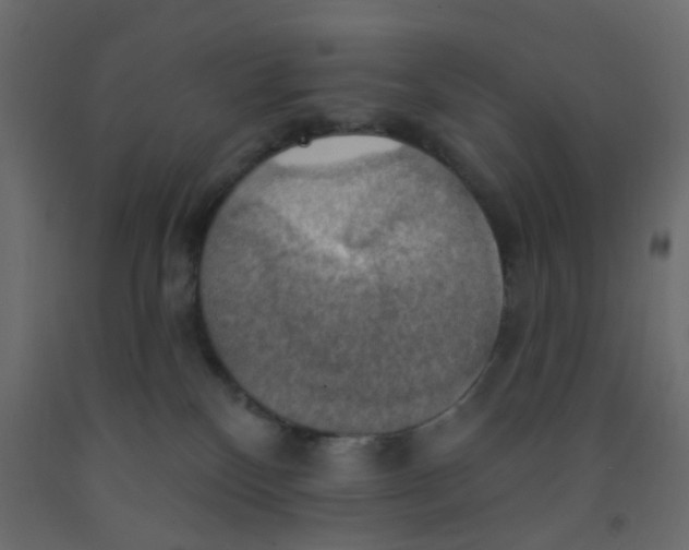 X0000092110136200710101151