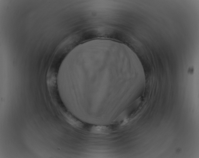 X0000092110137200710101151
