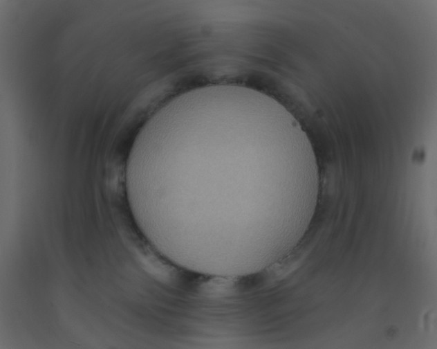 X0000092110138200710101151