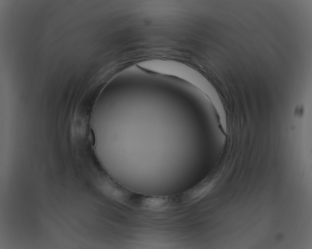 X0000092110139200710101151