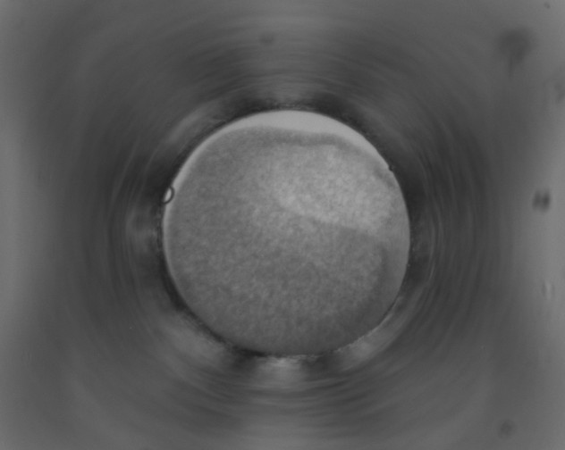 X0000092110140200710101151