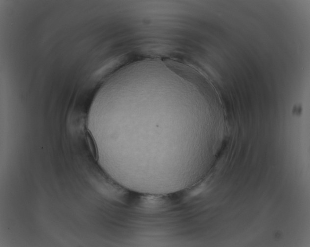 X0000092110141200710101151