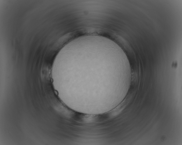X0000092110142200710101151