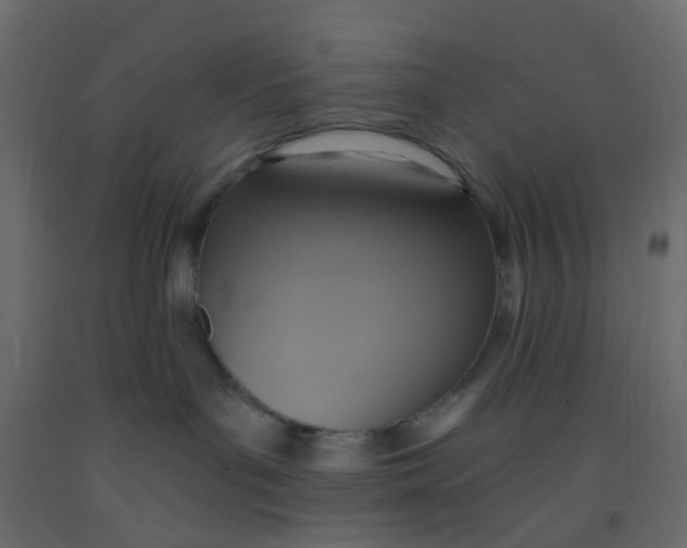 X0000092110143200710101151