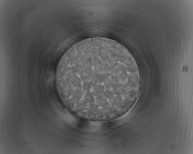 X0000092110144200710101151