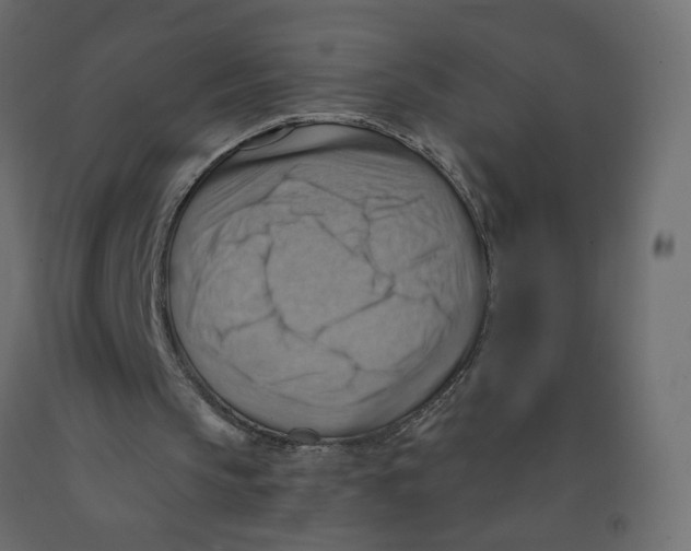 X0000092110145200710101150